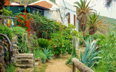 Sendero Las Aguas