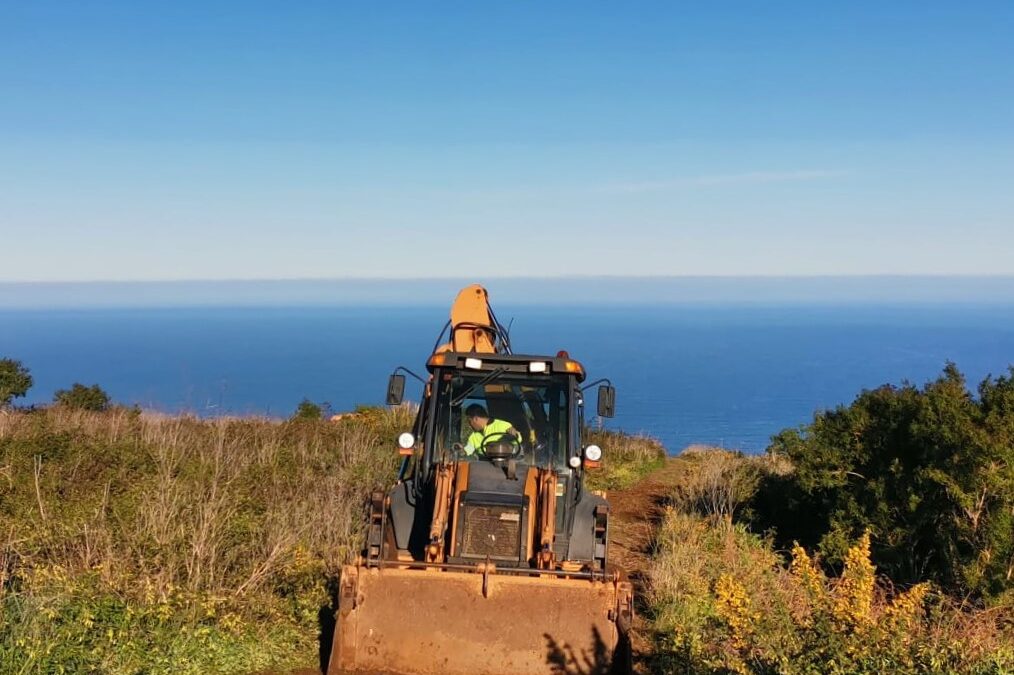 Trabajos de limpieza en las pistas agrícolas