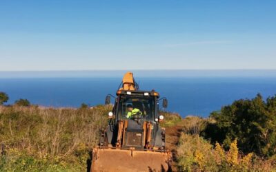 Trabajos de limpieza en las pistas agrícolas