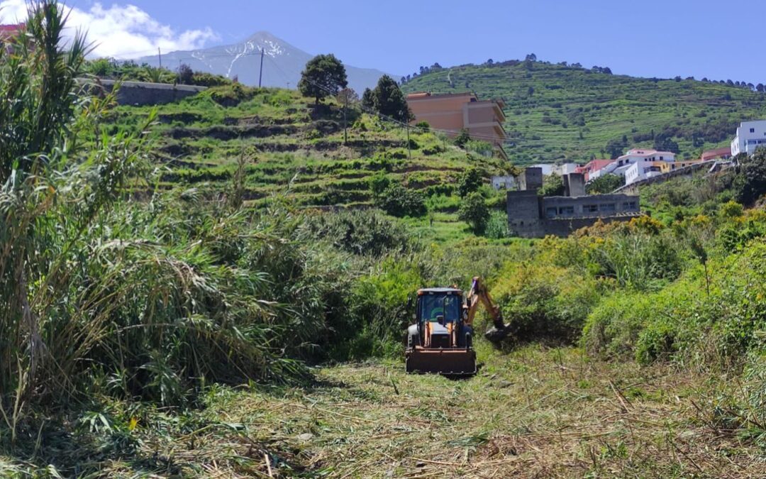 Trabajos de limpieza en el barranco de Los Palomos