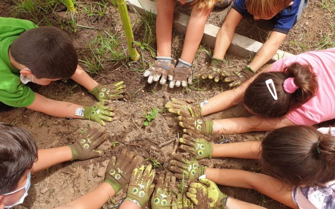 Vuelve el “Campus en el Campo”, la actividad veraniega infantil que vincula el ocio y la educación con la naturaleza