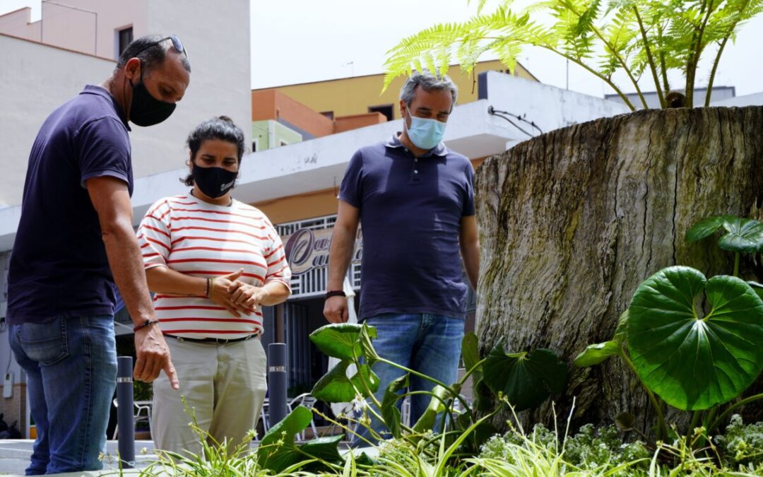 Los jardines rambleros dan un salto de calidad convirtiéndose en sostenibles y automatizados