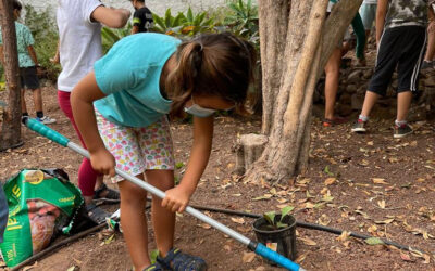 Jardinería adaptada a todas las edades