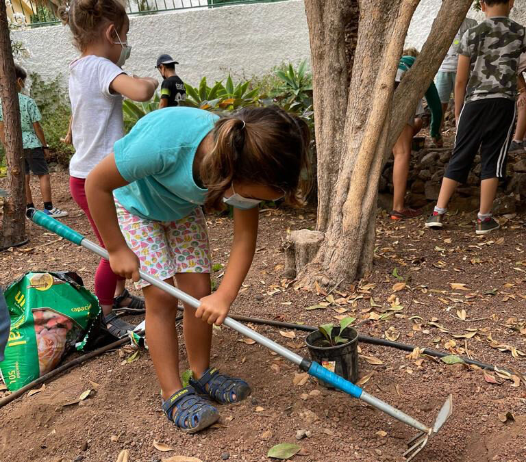 Jardinería adaptada a todas las edades