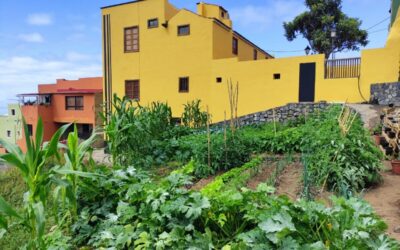Ingredientes de proximidad para «Comida sobre ruedas»