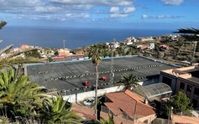A buen ritmo las obras de sustitución del césped del campo de fútbol de Los Quevedos