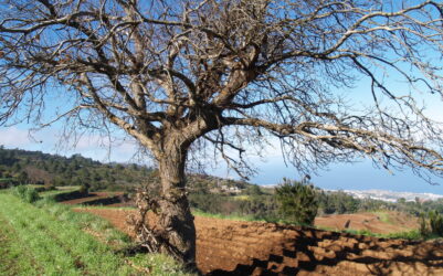 IDENTIDAD, paisaje e historia