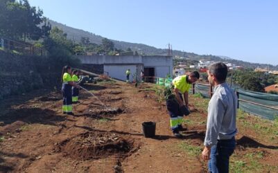 Comienza la plantación del primer jardín local de árboles frutales