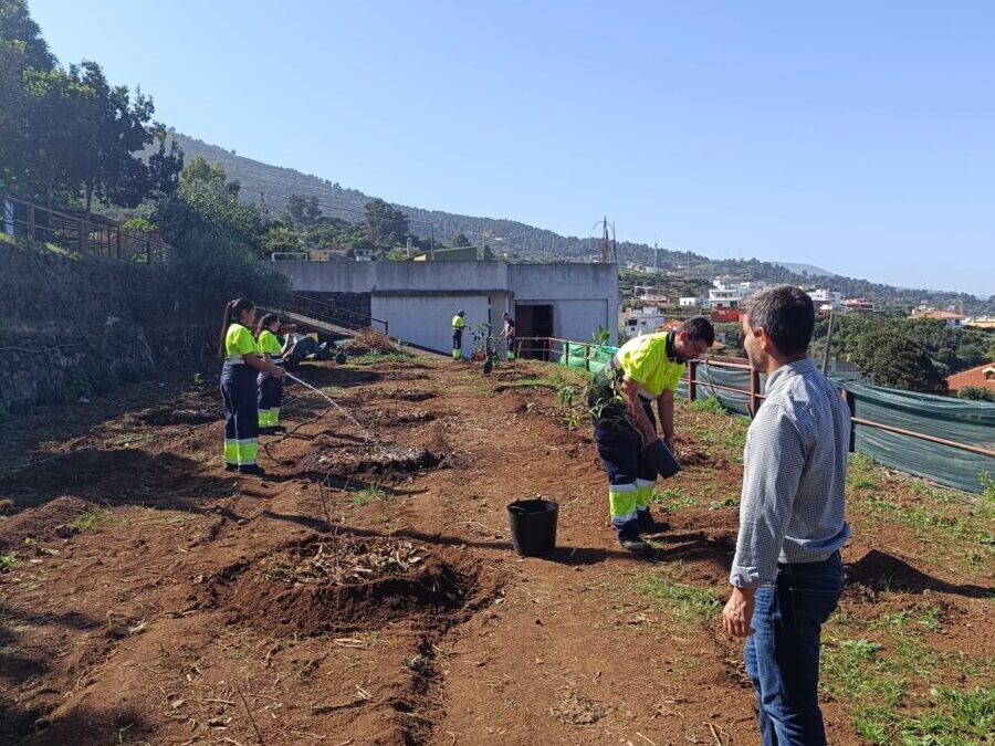 Comienza la plantación del primer jardín local de árboles frutales