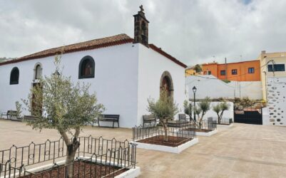 Olivos dan un aspecto renovado a la plaza de San José