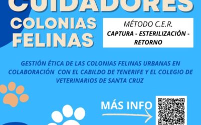 Abierta inscripción para cuidadores voluntarios de colonias felinas