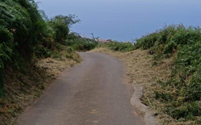 Mejoras en las pistas agrícolas
