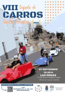 -VIII CARROS LAS ROSAS