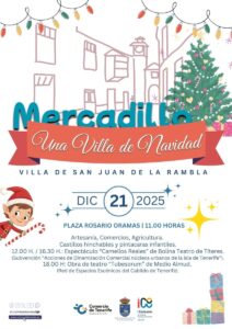 MERCADILLO NAVIDAD